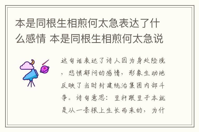 本是同根生相煎何太急表达了什么感情 本是同根生相煎何太急说明了什么道理