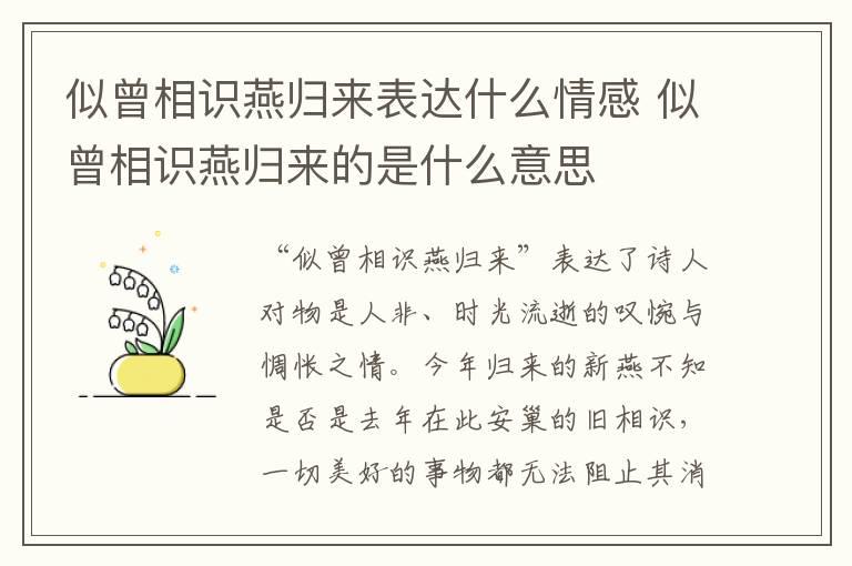 似曾相识燕归来表达什么情感 似曾相识燕归来的是什么意思