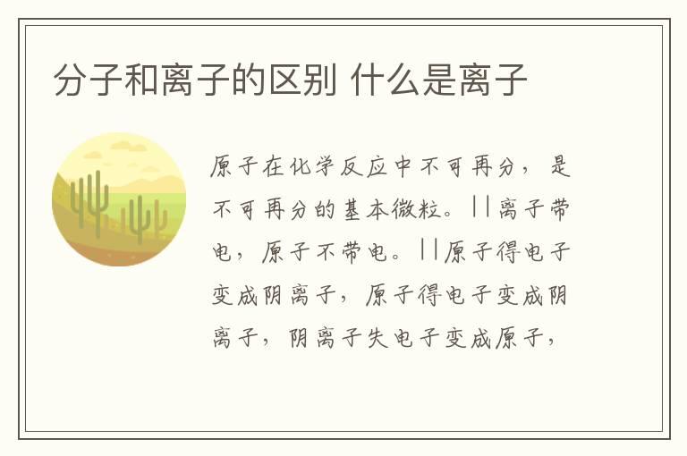 分子和离子的区别 什么是离子