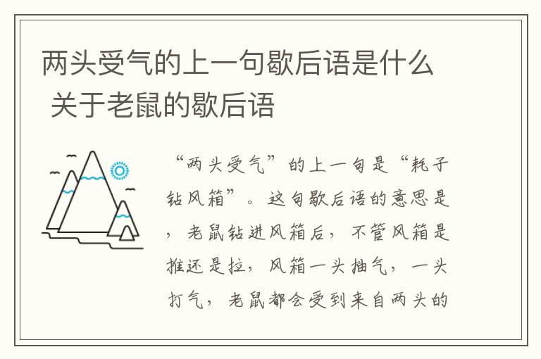 两头受气的上一句歇后语是什么 关于老鼠的歇后语