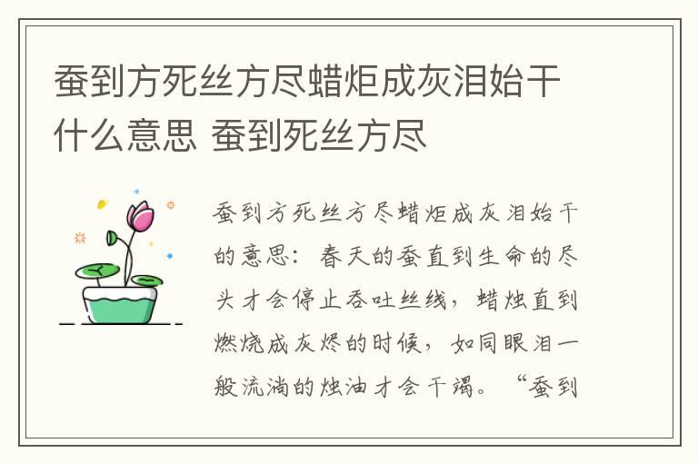 蚕到方死丝方尽蜡炬成灰泪始干什么意思 蚕到死丝方尽