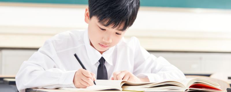 小学语文作文怎么写 小学语文作文怎么辅导