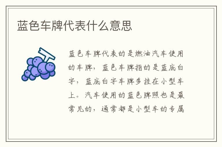 蓝色车牌代表什么意思