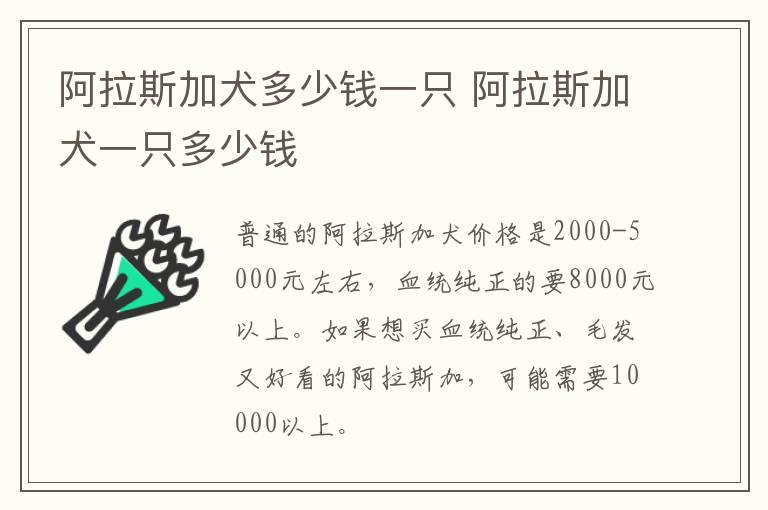 水果黄瓜的功效与作用 水果黄瓜的食用禁忌