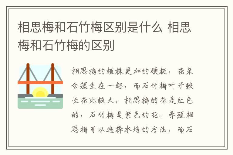 相思梅和石竹梅区别是什么 相思梅和石竹梅的区别