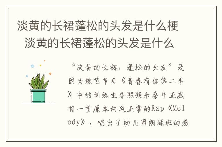 淡黄的长裙蓬松的头发是什么梗  淡黄的长裙蓬松的头发是什么意思