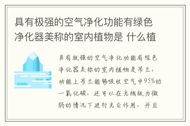 具有极强的空气净化功能有绿色净化器美称的室内植物是 什么植物被称为绿色净化器