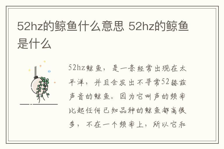 52hz的鲸鱼什么意思 52hz的鲸鱼是什么