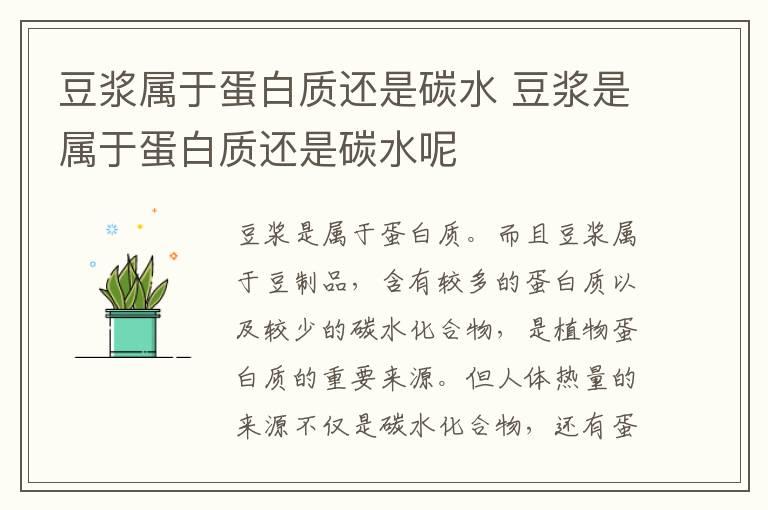 豆浆属于蛋白质还是碳水 豆浆是属于蛋白质还是碳水呢