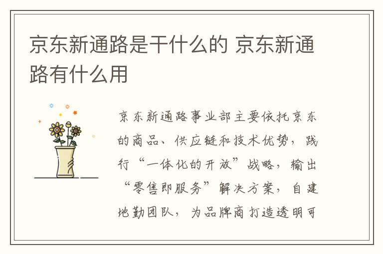 京东新通路是干什么的 京东新通路有什么用