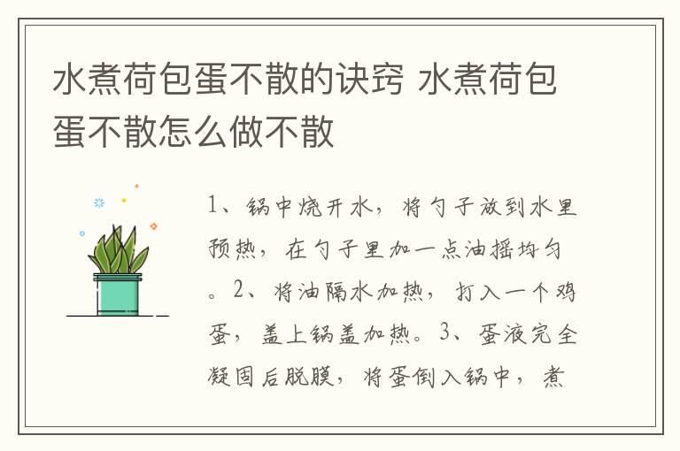 水煮荷包蛋不散的诀窍 水煮荷包蛋不散怎么做不散