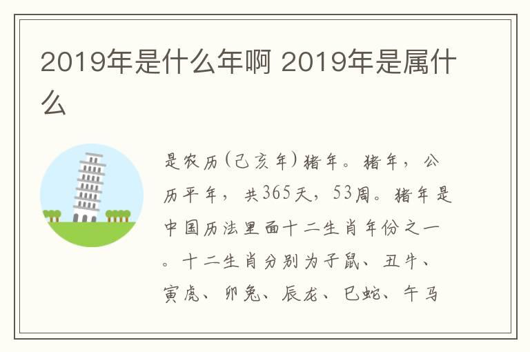 2019年是什么年啊 2019年是属什么