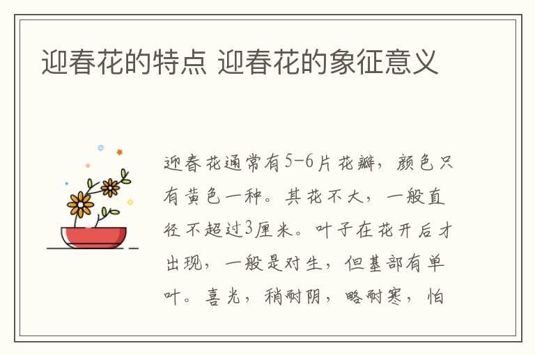 迎春花的特点 迎春花的象征意义