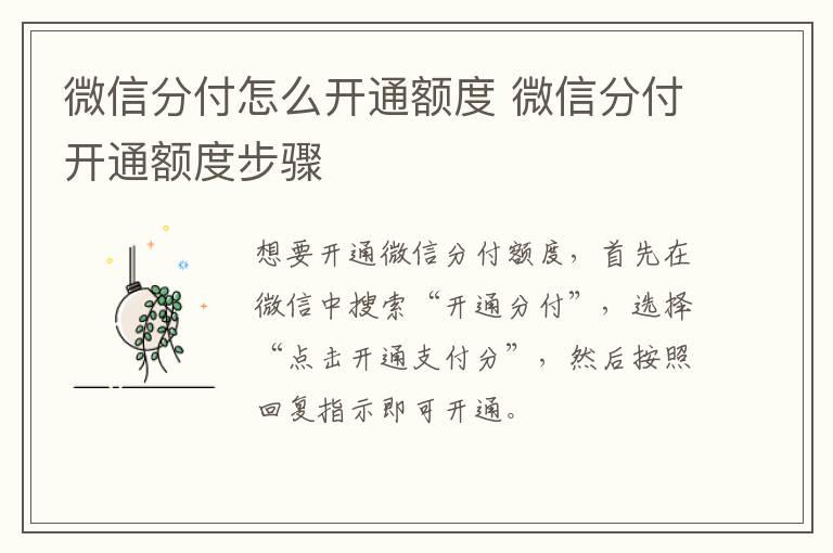 微信分付怎么开通额度 微信分付开通额度步骤