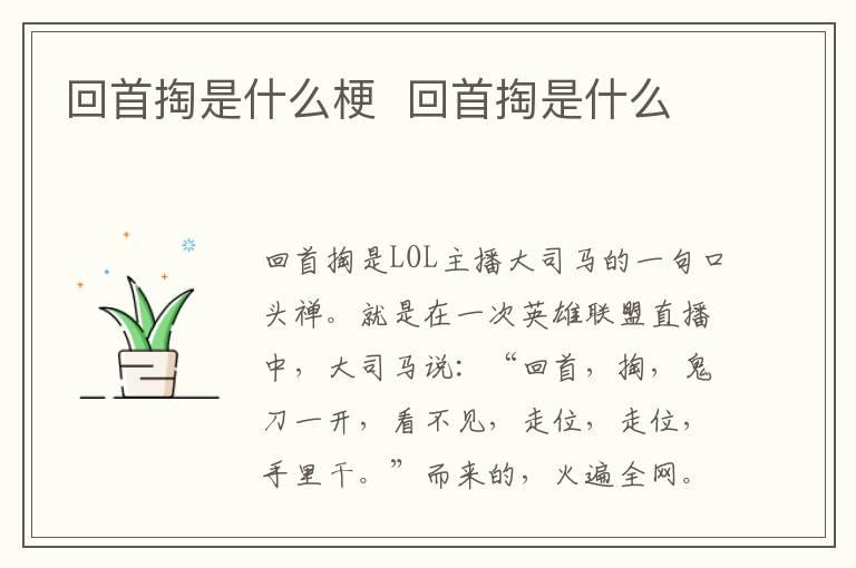 回首掏是什么梗  回首掏是什么