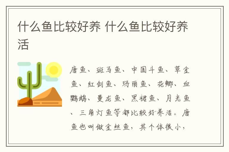 什么鱼比较好养 什么鱼比较好养活