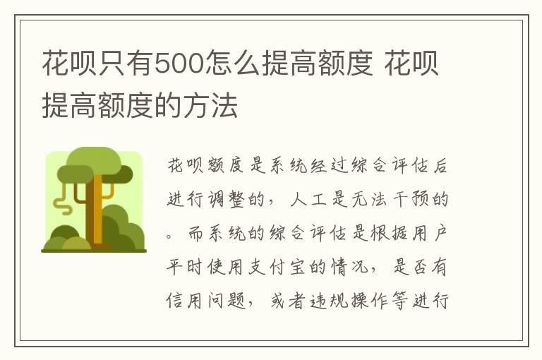 花呗只有500怎么提高额度 花呗提高额度的方法