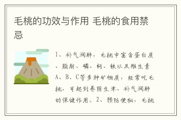 毛桃的功效与作用 毛桃的食用禁忌