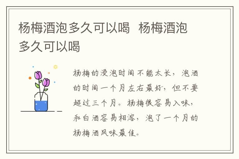 杨梅酒泡多久可以喝  杨梅酒泡多久可以喝