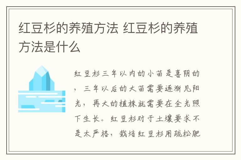 红豆杉的养殖方法 红豆杉的养殖方法是什么