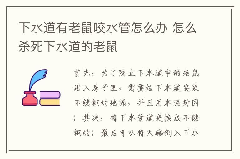 下水道有老鼠咬水管怎么办 怎么杀死下水道的老鼠