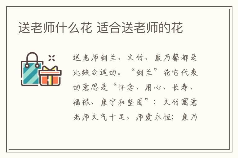 送老师什么花 适合送老师的花