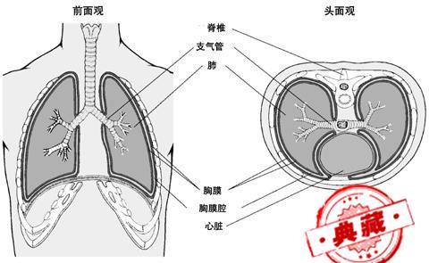 结核性胸膜炎的症状