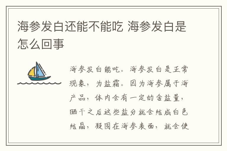 海参发白还能不能吃 海参发白是怎么回事