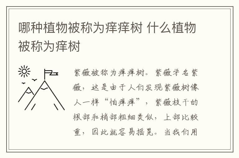 哪种植物被称为痒痒树 什么植物被称为痒树