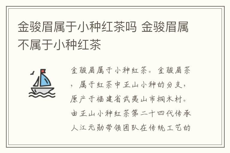 金骏眉属于小种红茶吗 金骏眉属不属于小种红茶