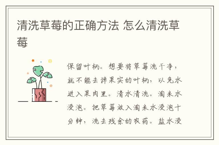 清洗草莓的正确方法 怎么清洗草莓