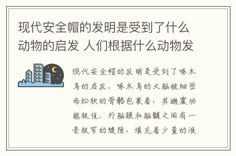 现代安全帽的发明是受到了什么动物的启发 人们根据什么动物发明了新型安全帽