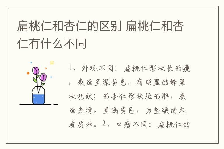 扁桃仁和杏仁的区别 扁桃仁和杏仁有什么不同