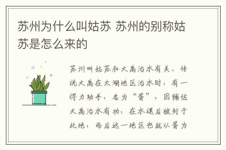 护师报考条件  护师的报考条件有哪些