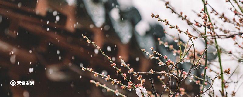 雨季是几月份