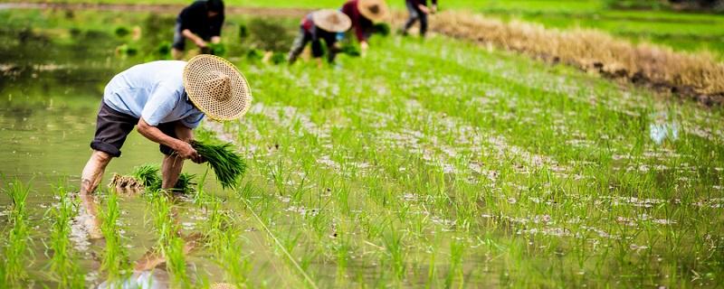 新土地法宅基地最新政策