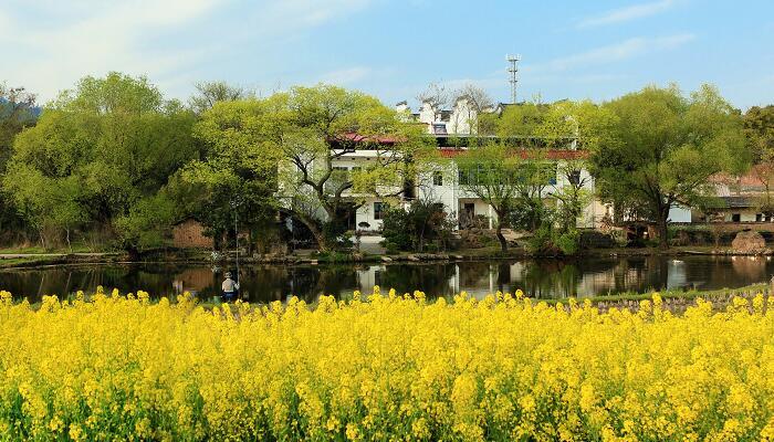 芙蓉镇在哪里