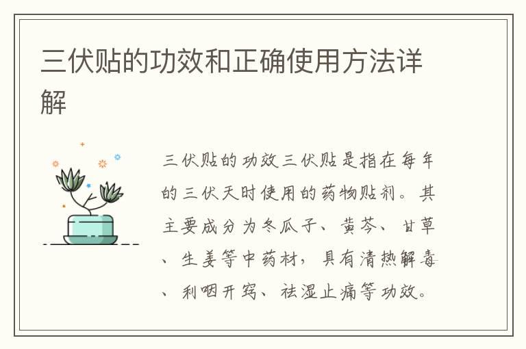 三伏贴的功效和正确使用方法详解