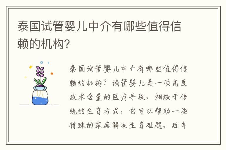 泰国试管婴儿中介有哪些值得信赖的机构？