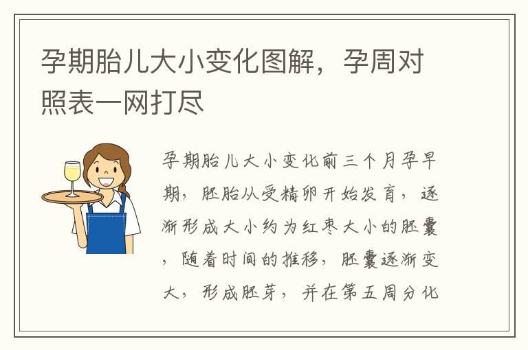 孕期胎儿大小变化图解，孕周对照表一网打尽