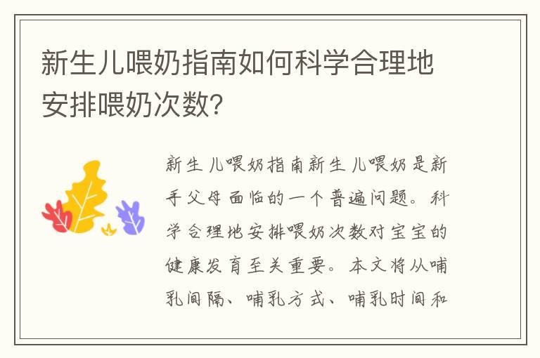 新生儿喂奶指南如何科学合理地安排喂奶次数？