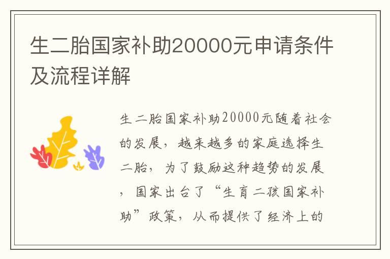 生二胎国家补助20000元申请条件及流程详解