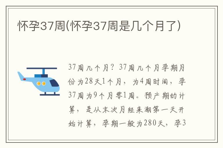 怀孕37周(怀孕37周是几个月了)