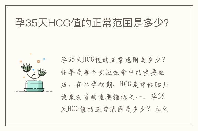 孕35天HCG值的正常范围是多少？