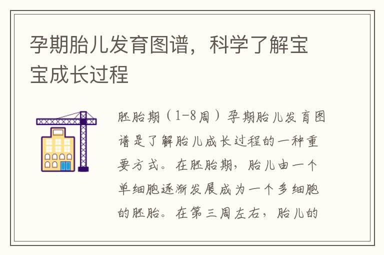 孕期胎儿发育图谱，科学了解宝宝成长过程