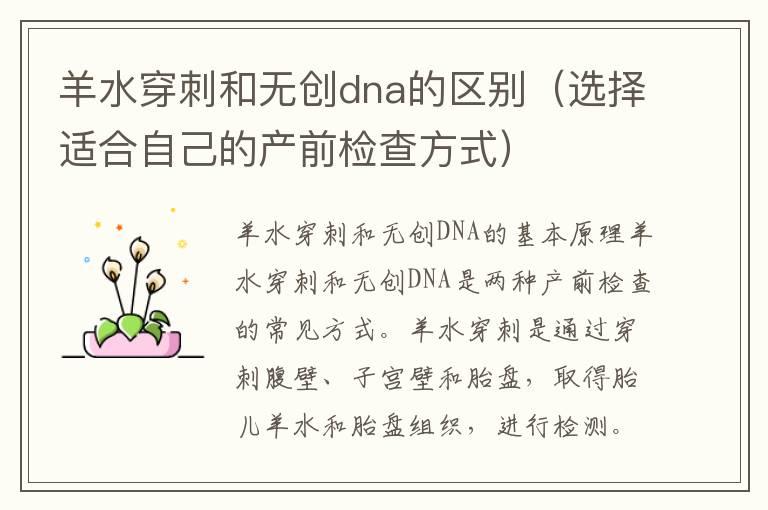 羊水穿刺和无创dna的区别（选择适合自己的产前检查方式）