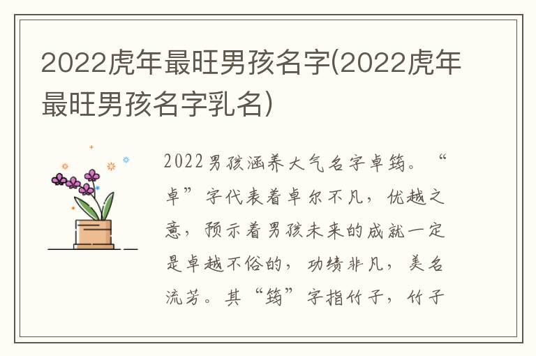 2022虎年最旺男孩名字(2022虎年最旺男孩名字乳名)