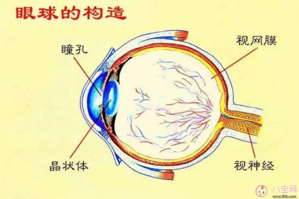 宝宝看电视的影响 如何规定宝宝看电视的时机