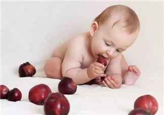 哪些宝宝需要贴秋膘 宝宝贴秋膘应该怎么吃